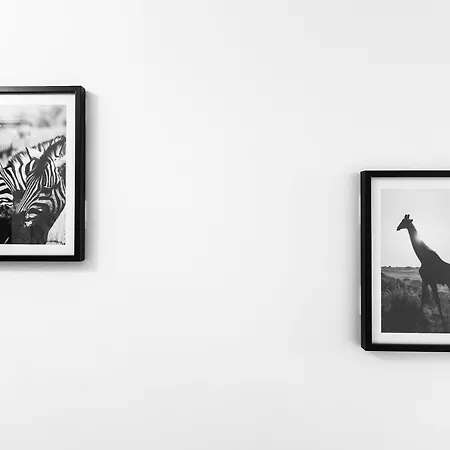 Appartement A - Safari