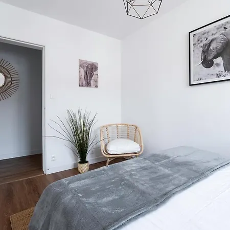 A - Safari * Clermont-Ferrand